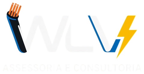 WLV Assessoria e Consultoria